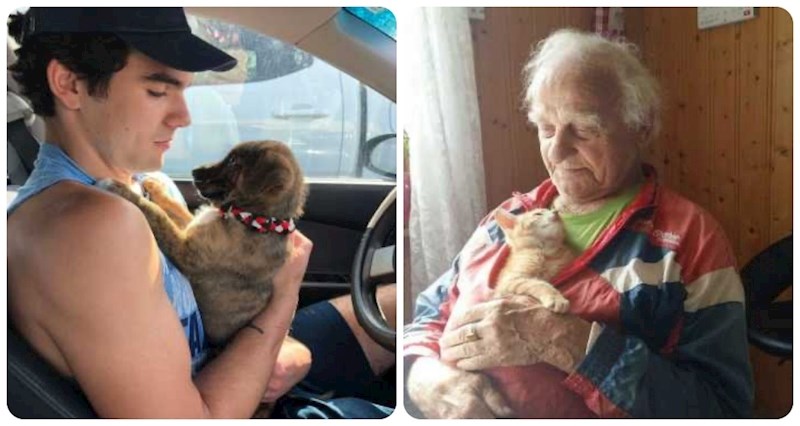 Ovih 17 životinja uputile su ljudima poglede kojima je nemoguće odoljeti i osvojile njihova srca