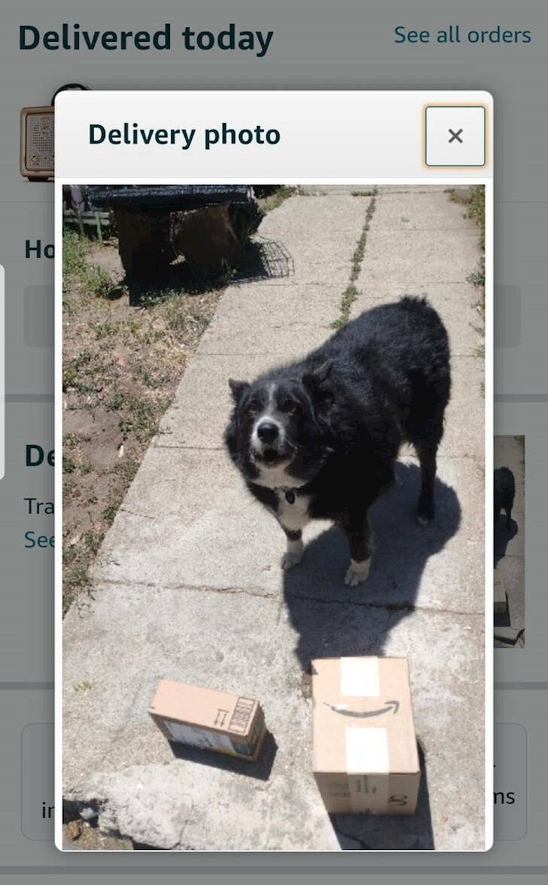 2. Amazon mu je poslao fotku da je paket dostavljen članu njegove obitelji