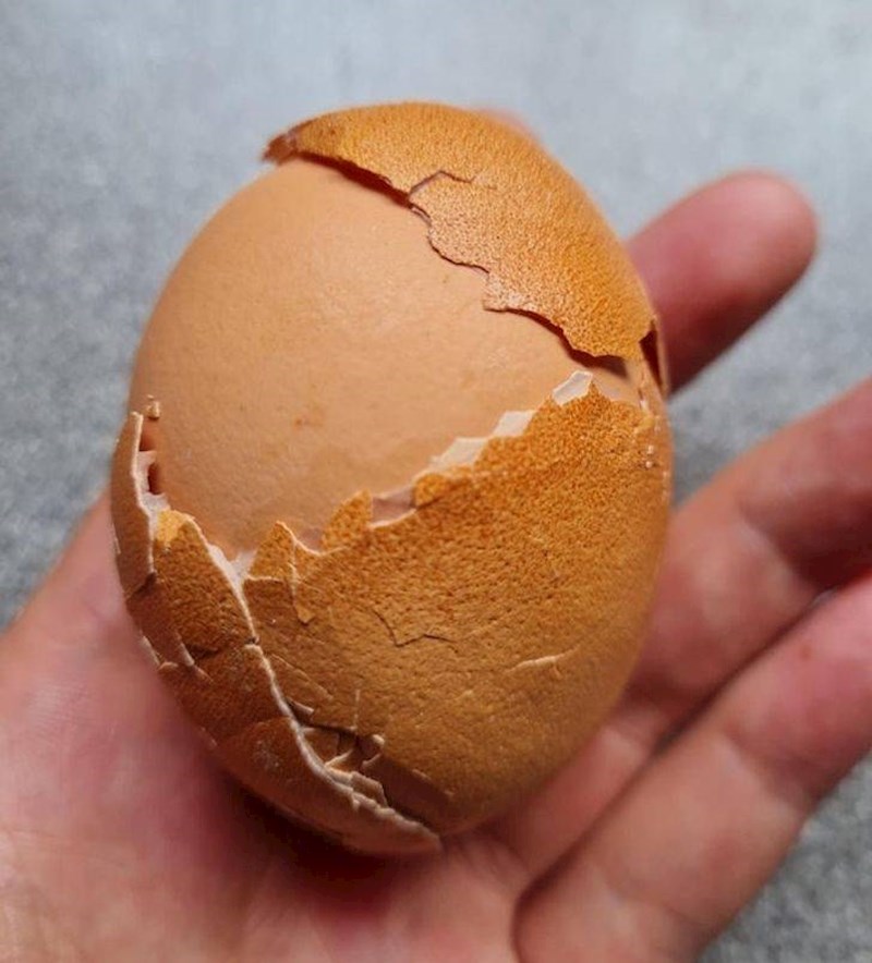 7. Jaje unutar jajeta