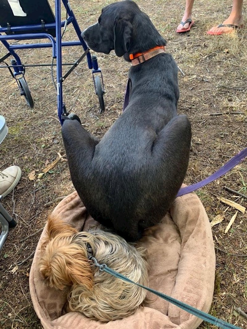 23. Kad je dijeljenje u pitanju - veličina je manje važna.