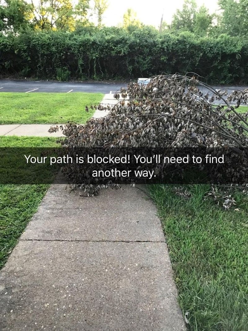 5. Kad bi stvarni život bio videoigrica...