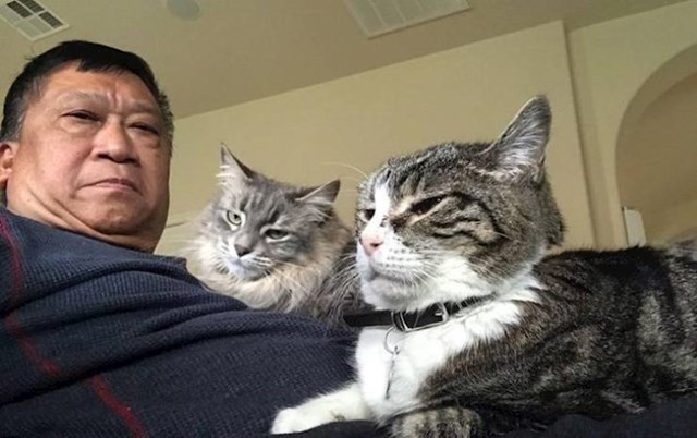 12. Tata mi šalje selfie s dvije mačke koje nije htio