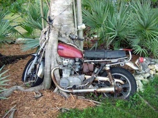 Stablo je prisvojilo ovaj motor.