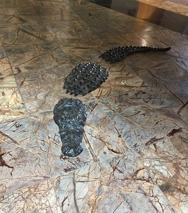 Čekaonica u ovoj ordinaciji ima krokodila u podu.