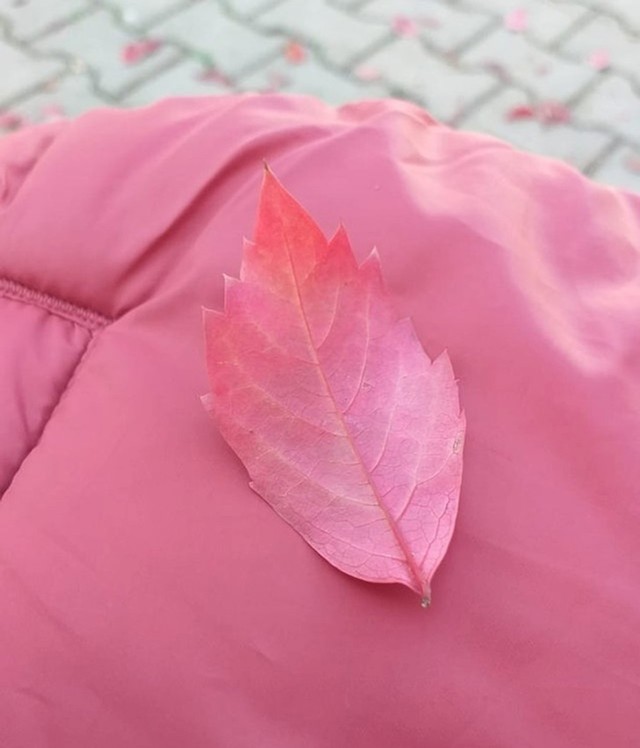 8.