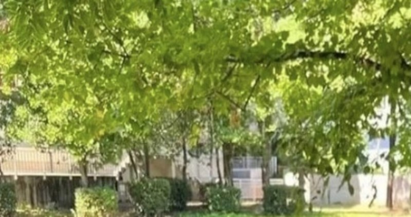 Netko je na klupici za dojenje primijetio bizaran prizor, lajkalo ga je više od 2 tisuće ljudi