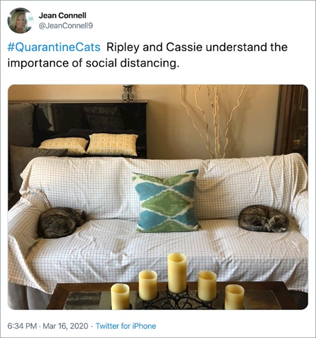 3. Ripley i Cassie razumiju zašto je društveno distanciranje važno.