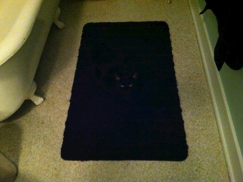 17. Pa ovaj tepih ima oči!😂