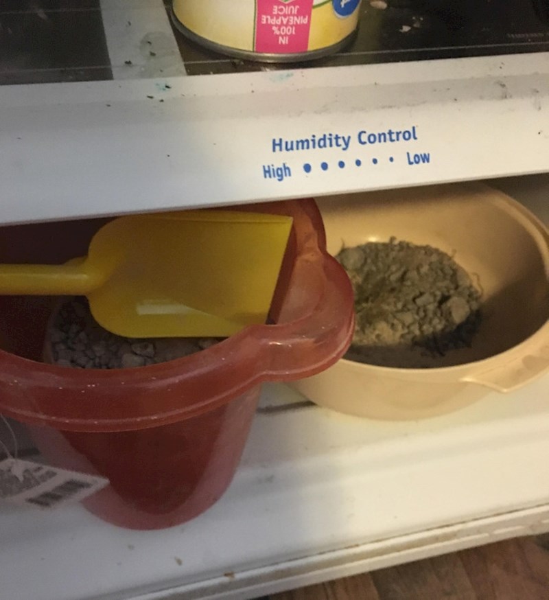 11. Klinac je stavio kamenje u frižider, jer misli da treba biti još čvršće.