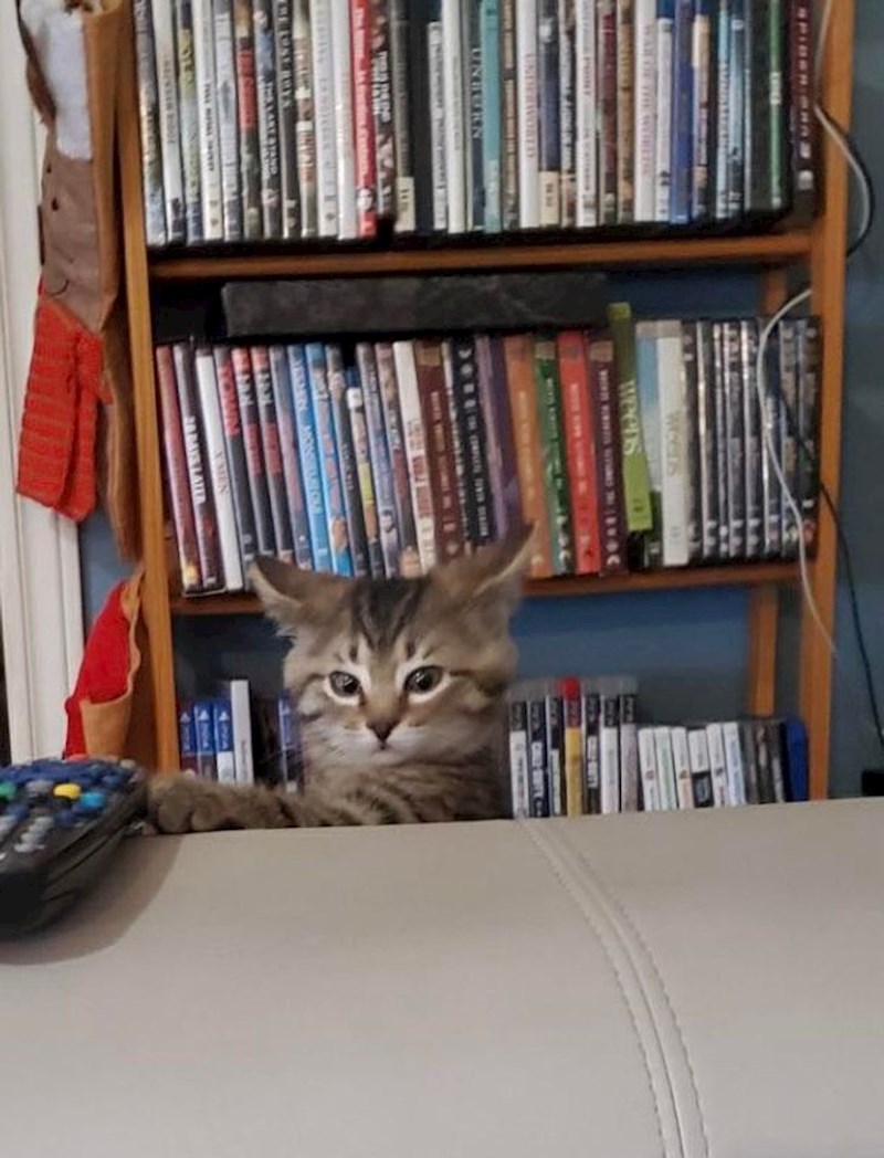 14. "Obožava nas gledati dok ruši stvari na pod..."