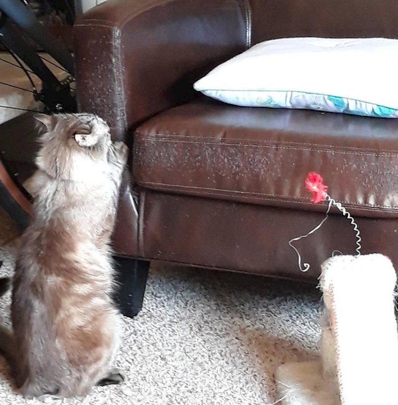 "Grebalica je odmah pokraj kauča, ali nije to to."