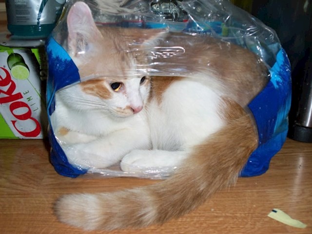 2.