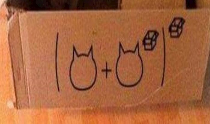 Ova matematička ilustracija precizno opisuje što se zbiva na fotki, možete li pogoditi?