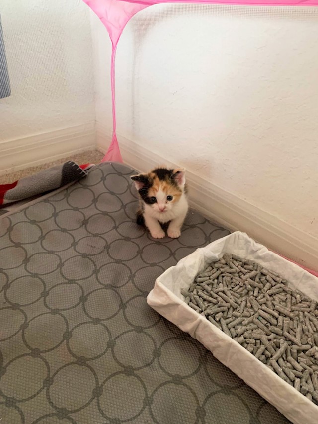 15.
