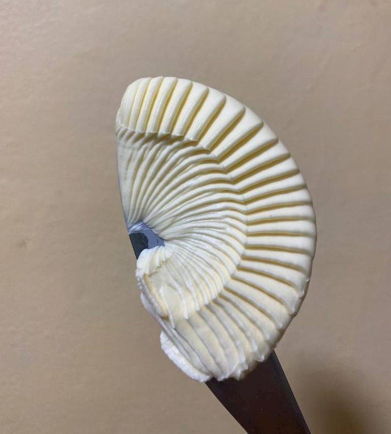 8. "Ovo se dogodilo kad sam jutros htio namazati toast putrom..."