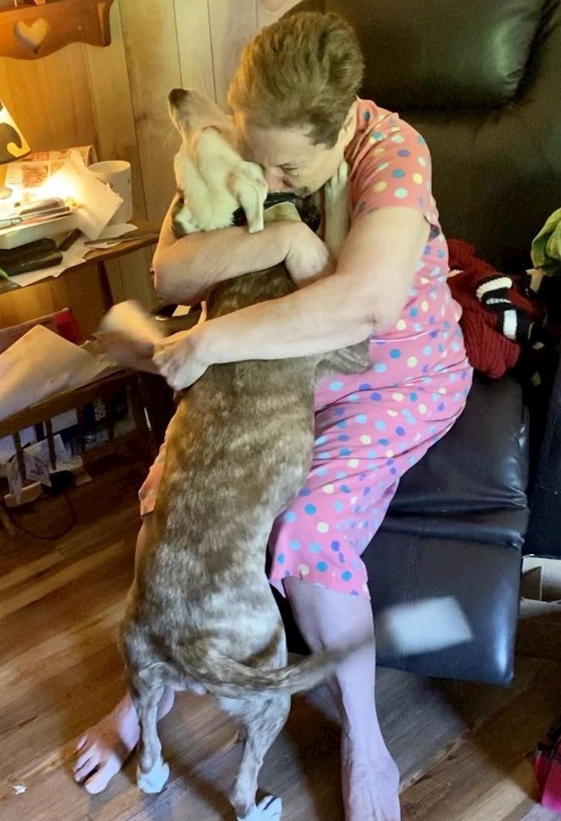 1. "Moja susjeda često upadne u depresiju, doslovno ne izlazi iz kreveta danima. Tada joj dovedem svojeg psa koji se pokazao kao najbolja terapija!🥰"