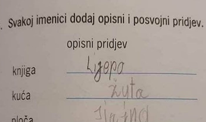 Iskreni učenik nasmijao je tisuće ljudi zbog opisnog pridjeva kojeg je dodao imenici sestra