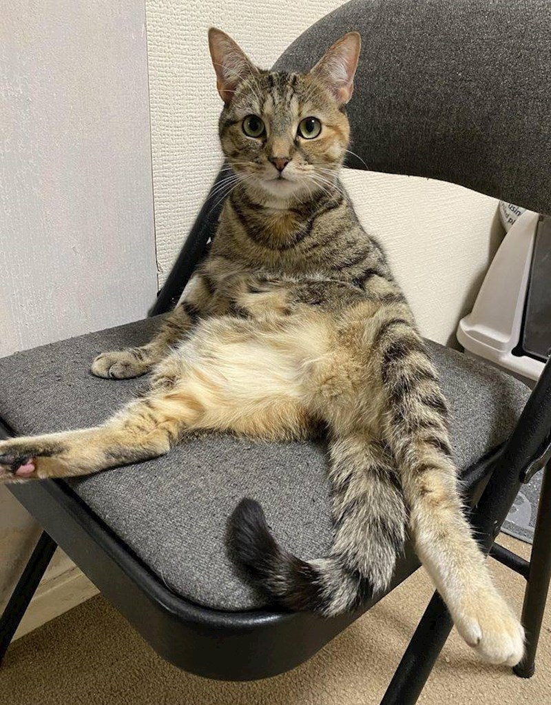 8. Malo se produžila