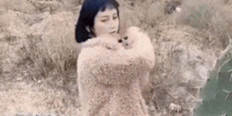 Krenula je u napad na kaktus, ali ovo što se dogodilo nije mogla predvidjeti