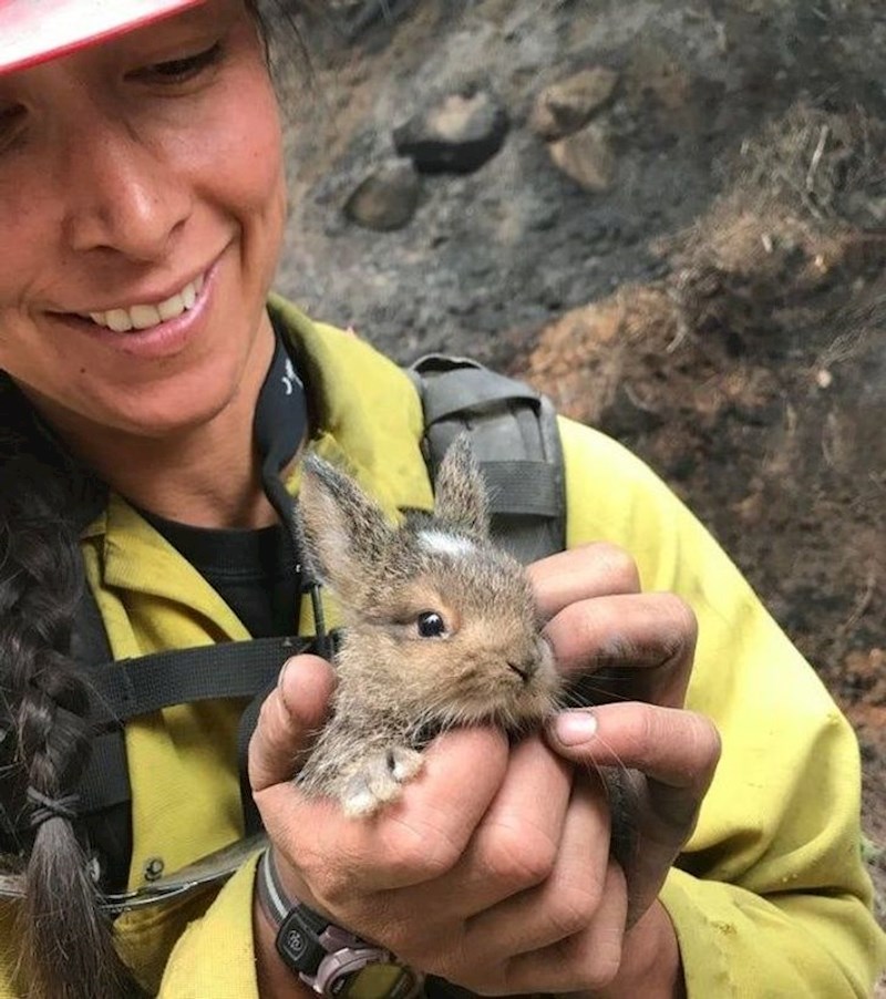 Spašavala je životinje u australskim požarima.