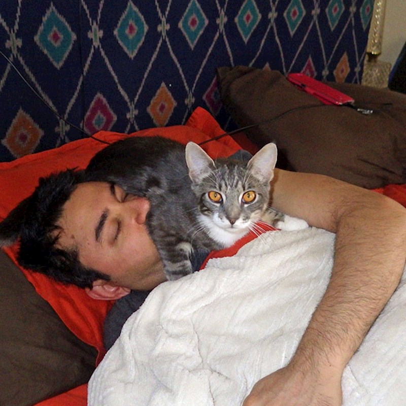 "Vrijeme je za buđenje!"