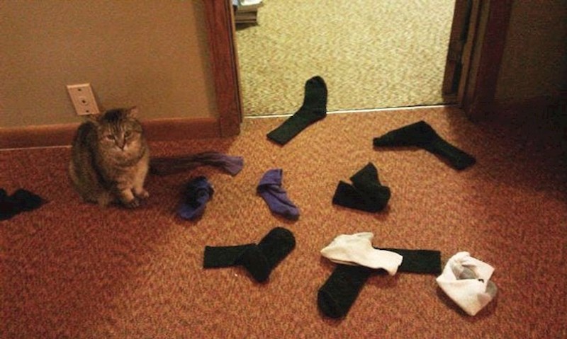 17. Obožava nam donositi čarape na poklon.