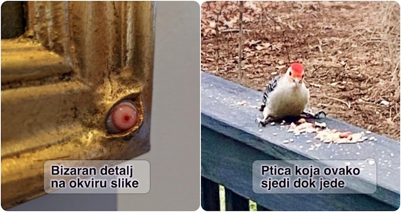 15 ljudi ugledali su prizore koji izgledaju kao iz zemlje čudesa i morali ih svima pokazati