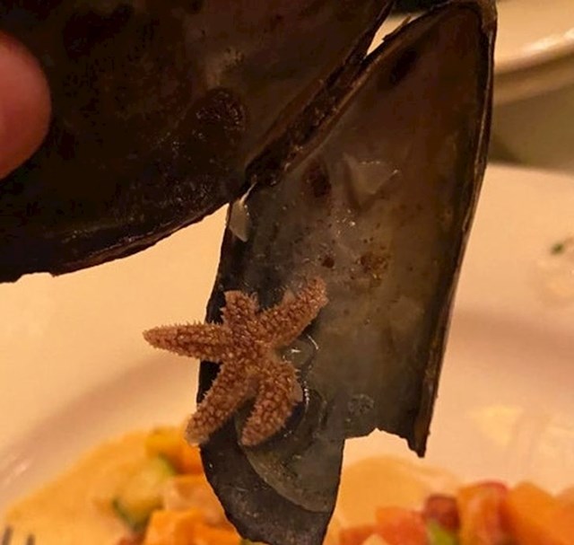 6. Netko je u restoranu uz dagnju dobio i morsku zvijezdu...🙁