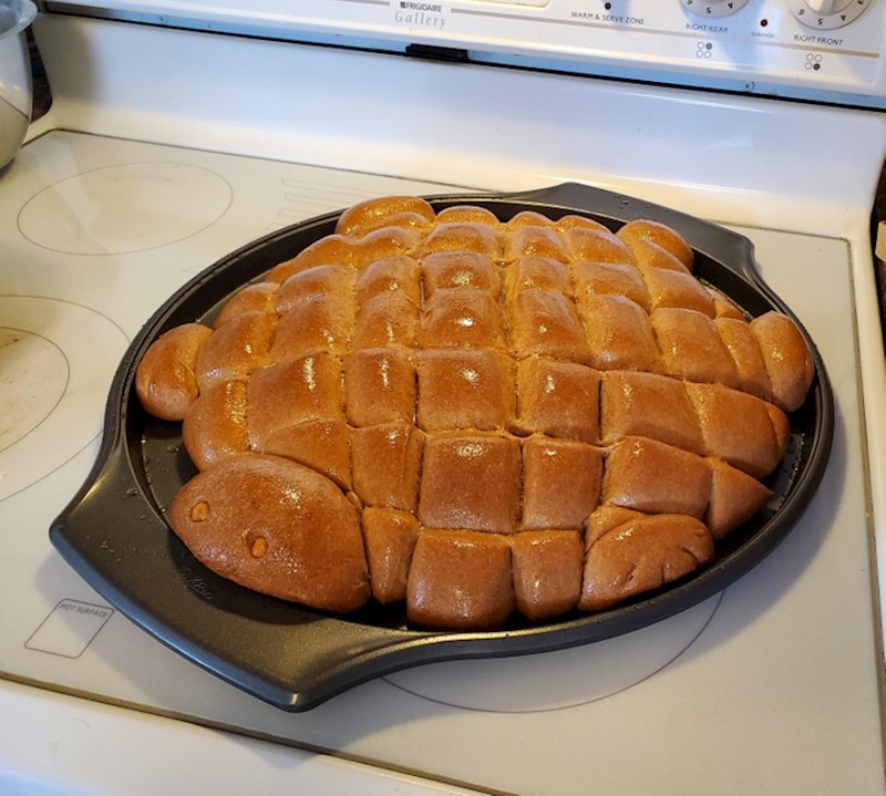 7. Kruh u obliku kornjače - jer, zašto ne?😄