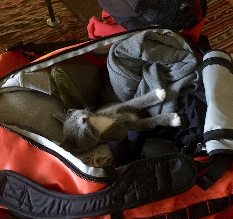 18. "Spremamo se na put, ali čini se da se to nekome ne sviđa!"