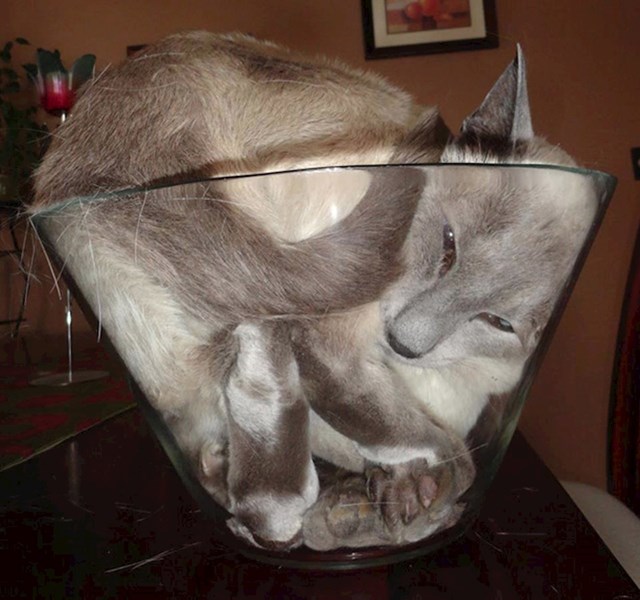 10.