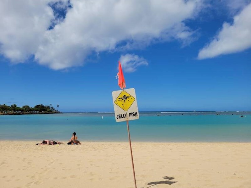 16. Napokon sam pronašla vremena za otići do plaže...