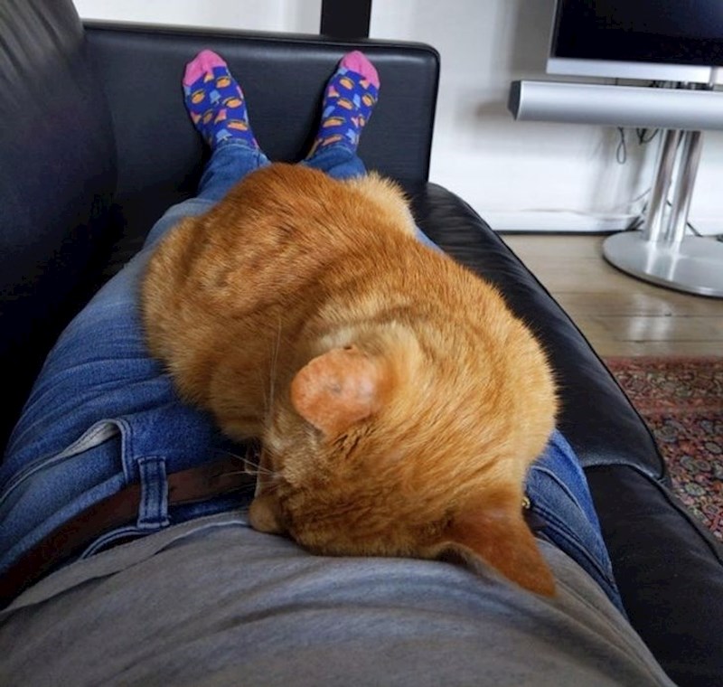 11. Ovo joj je najdraža poza već 16 godina...