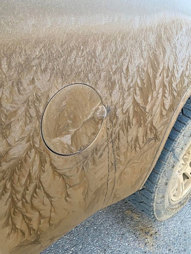 14. Prljavi auto izgleda kao slika šume u snijegu