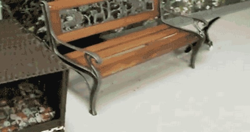 Znatiželjne mace istraživale su kuću, ali jedna od njih je doživjela neugodno iznenađenje