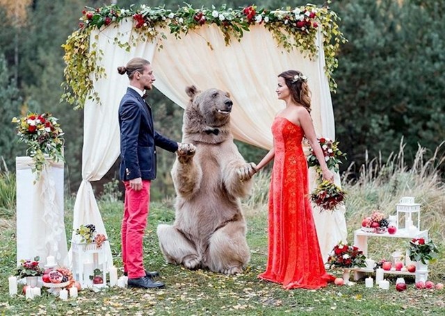 11. Ništa neobično, samo medvjed koji vodi vjenčanu ceremoniju.😂