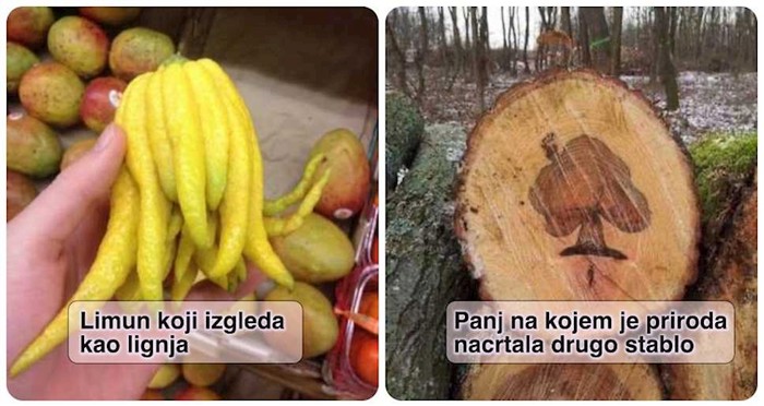 17 puta kad su ljudi u prirodi pronašli nevjerojatne prizore