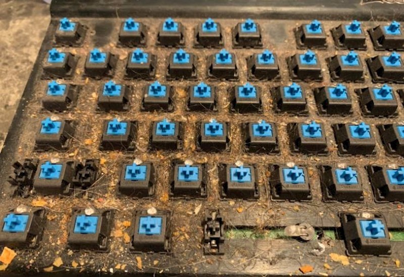 15. "Odlučio sam očistiti tipkovnicu i šokirao se kad sam ju otvorio!"