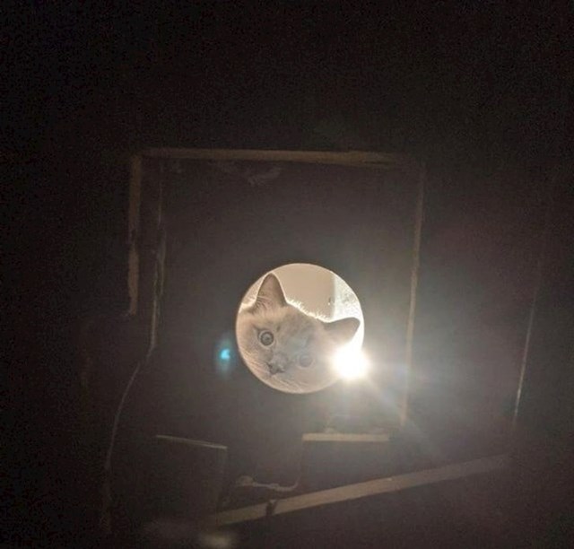 1. Vodoinstalater sam. Danas je na poslu svaki moj korak pratila ova slatka maca.