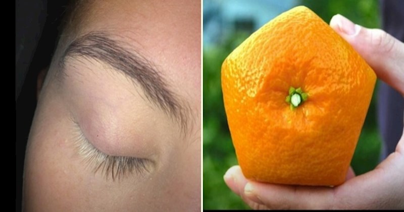 VIDEO 20 neobičnih stvari koje ne možete vidjeti svaki dan