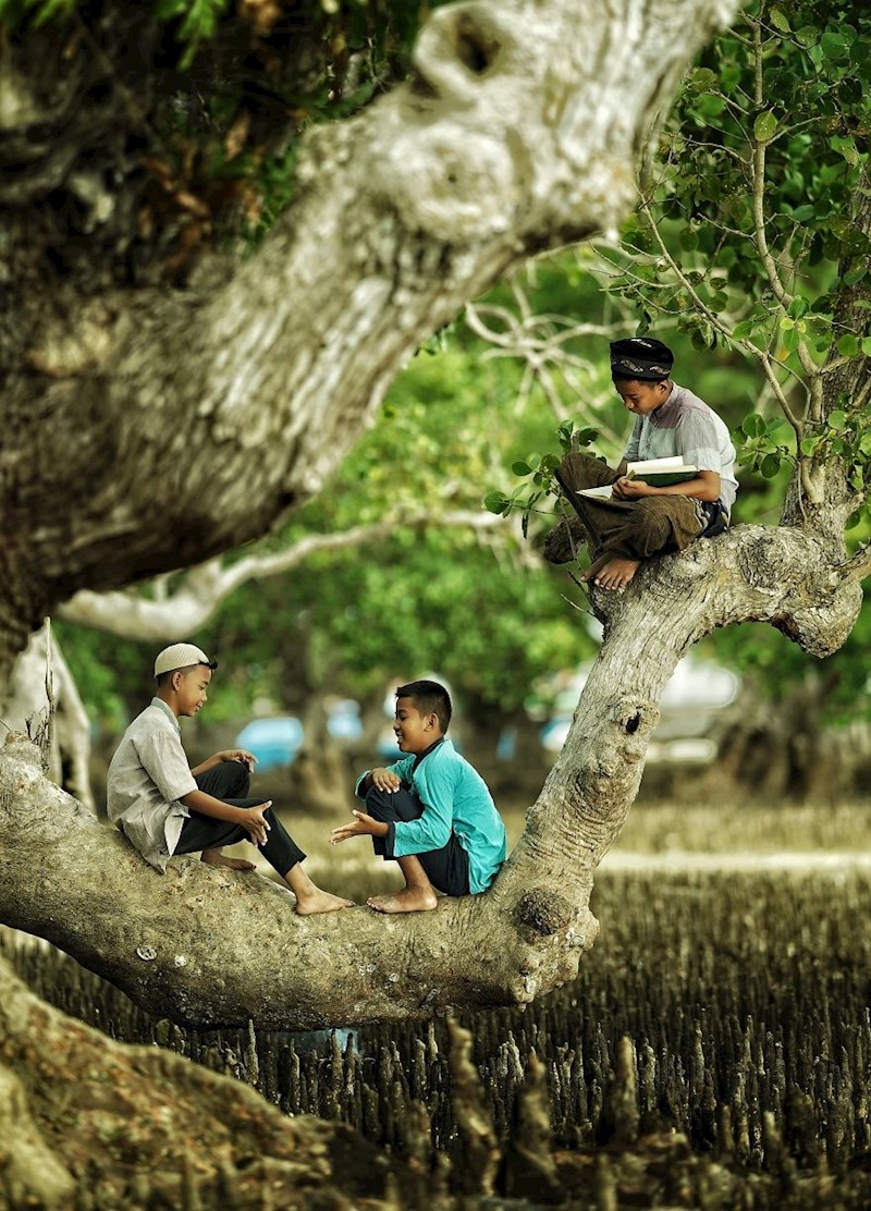 #14 "Prijateljstvo"; Indonezija