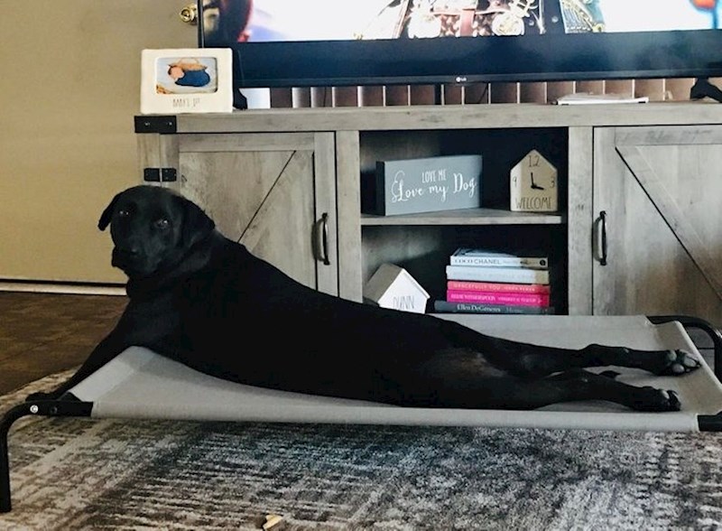 Pretvara se da je tuljan.