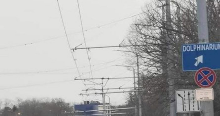 Suludi prizor snimljen usred prometnice u Bugarskoj postao je hit na Fejsu, morate vidjeti