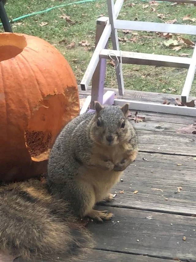 9.