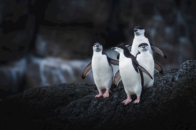 #8
