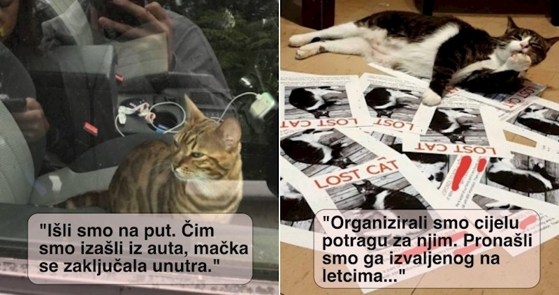 17 nestašnih životinja koje su svojim vragolijama zadale glavobolje vlasnicima