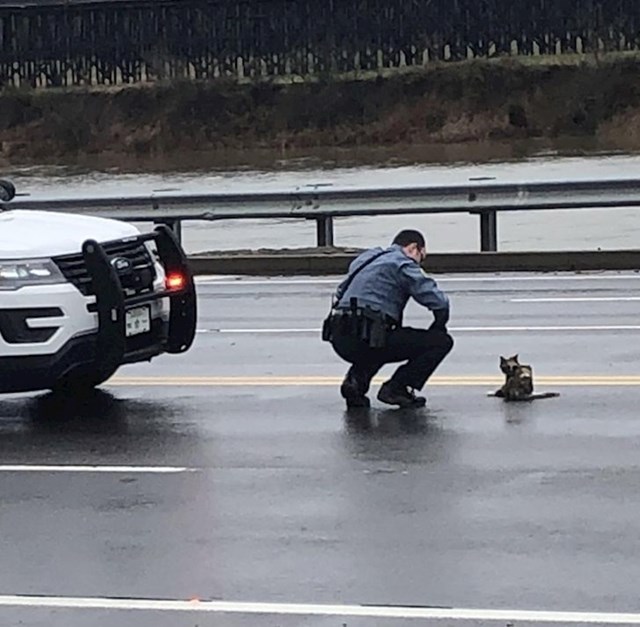 2. Policajac je zaustavio promet na autocesti kako bi pomogao ozlijeđenoj maci