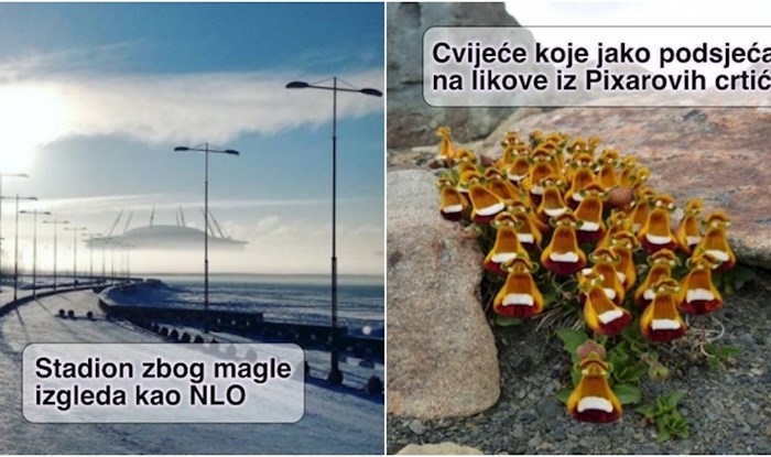 17 fotki koje ćete na prvi pogled sto posto krivo protumačiti