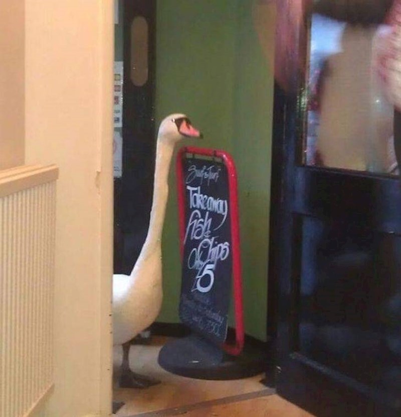 9. "Bio je jako ljut i potjerao sve goste restorana!"