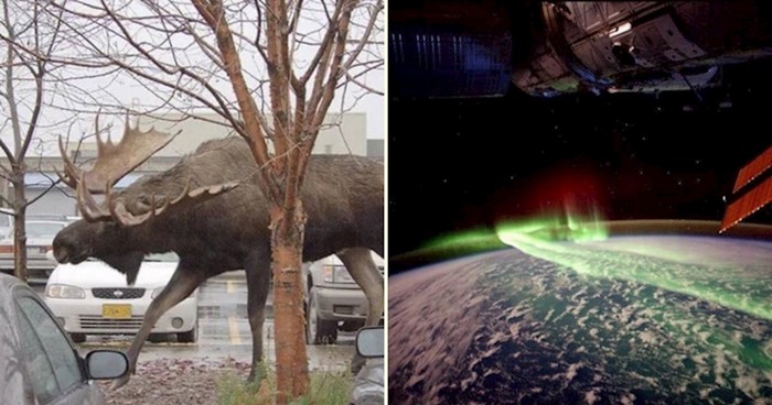 20+ fotografija koje će vas istovremeno fascinirati i dirnuti
